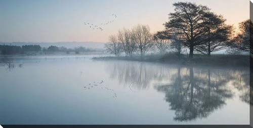 Quiet Reflections Wall Art - Blue - 10 X 20