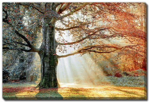 Seasons Divide Wall Art - Orange - 16 X 20