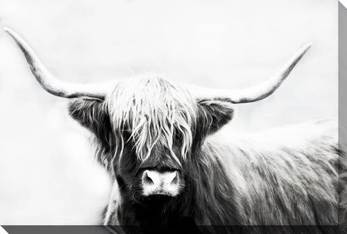 Stark Stare Wall Art - Black/White - 16 X 20