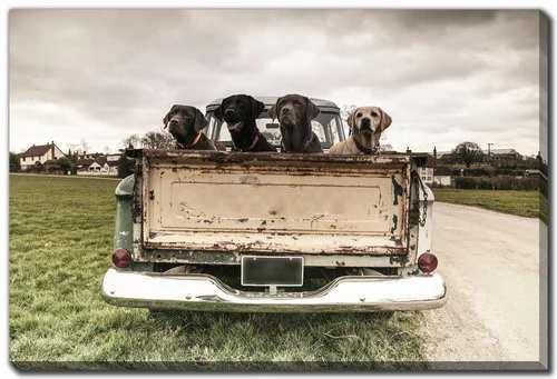 Tailgate Crew Wall Art - Brown/Green - 16 X 20