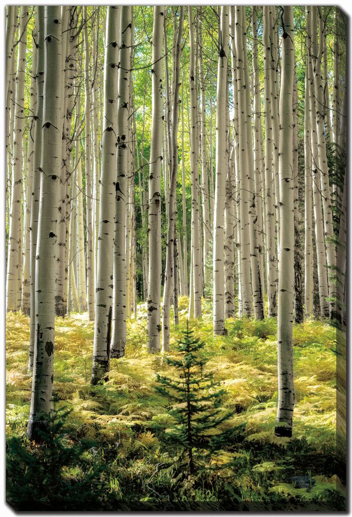 Whispering Grove Wall Art - Green - 30 X 45