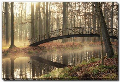 Whispers of the Woods Wall Art - Multi-Colour - 22 X 28