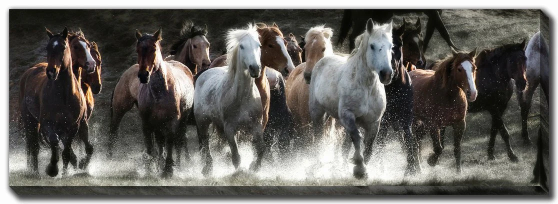 Wild and Unbroken Wall Art - Grey/Brown - 12 X 36