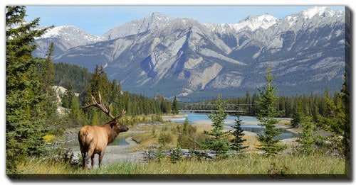 Wilderness Gaze Wall Art - Blue/Green - 30 X 60